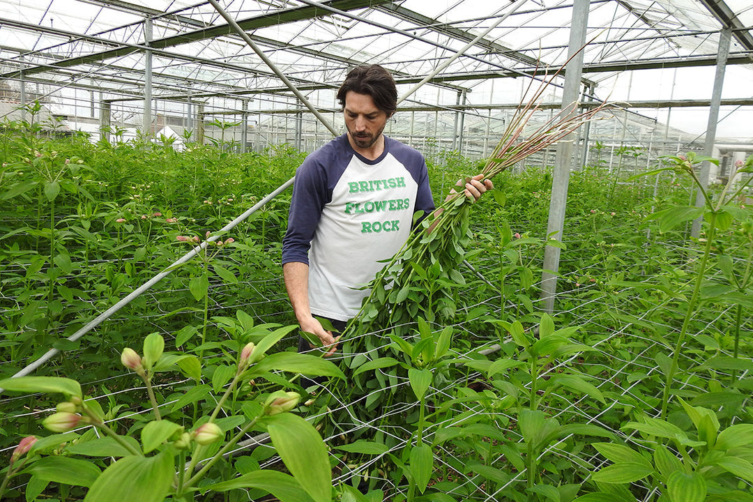 Modern hero of horticulture - Ben Cross
