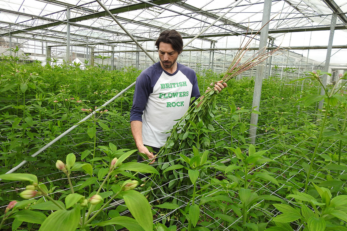 Modern hero of horticulture - Ben Cross
