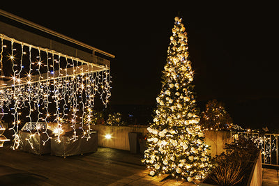 Technology in the garden - outdoor Christmas lights