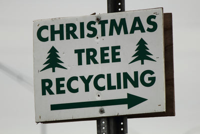 Christmas tree recycling: Why not lease your tree instead?