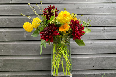 Cut flower corner - what to pick in late October