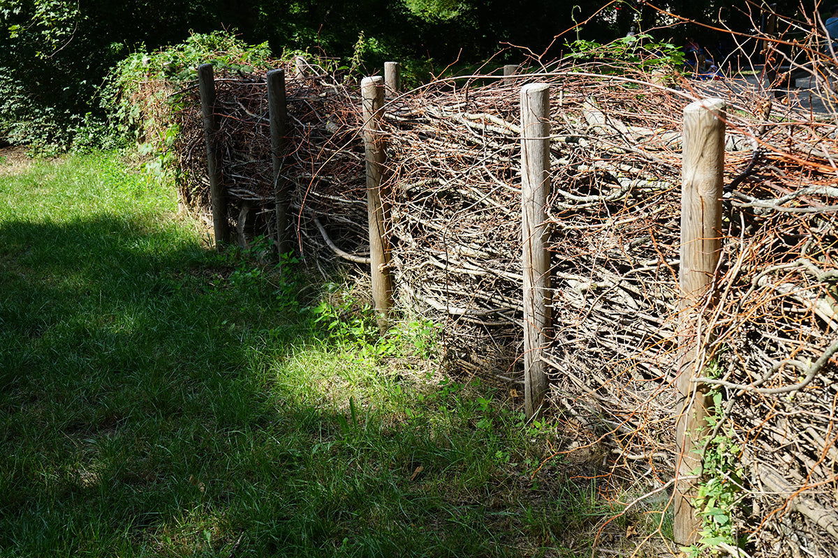 Dead hedges - positively alive