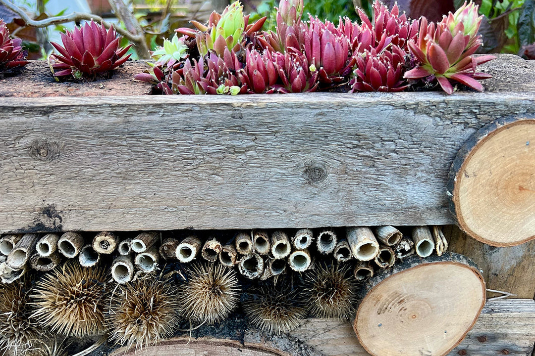Greener gardening - make a bug hotel