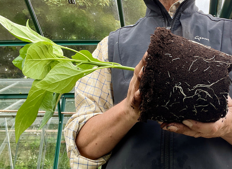 Greenhouse duties Genus Gardenwear