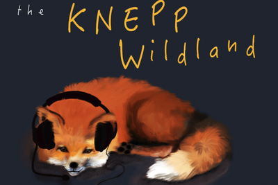 Podcast - Knepp Wildland