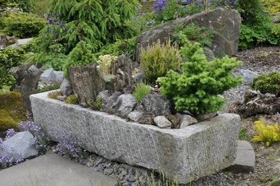 Top of the pots - planting design for a large trough