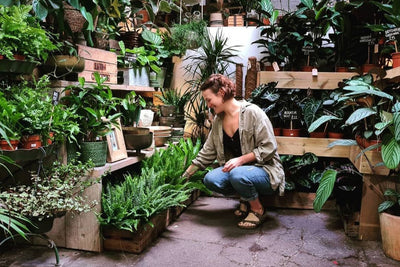 Q&A with Maddy Bailey, house plant specialist