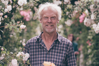 Q & A with leading rose expert Michael Marriott