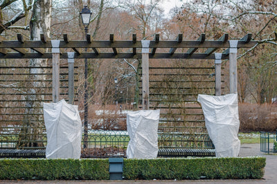 Technology in the garden - plant protection jackets