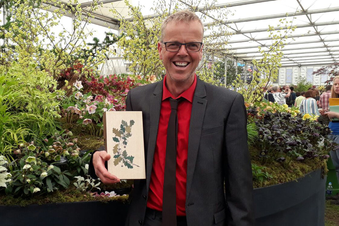 Q&A with hellebore expert, Kevin Belcher, of Ashwood Nursery