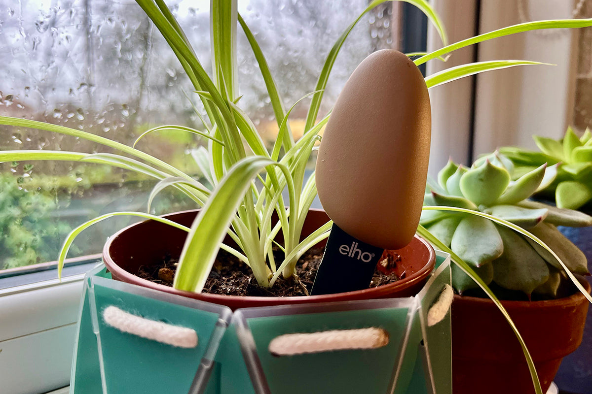 Garden gadgets - smart pebble