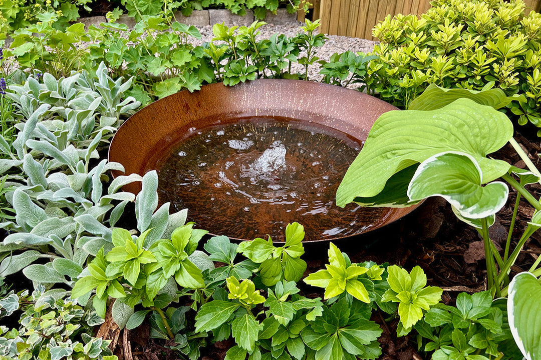 Body, soul and soil - water for wellbeing
