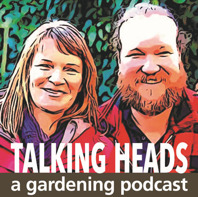 Our podcast pick - Talking Heads