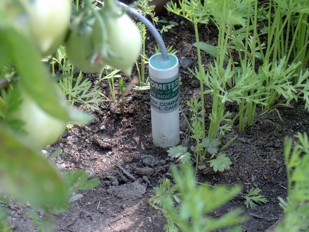 Technology in the garden - soil moisture sensor