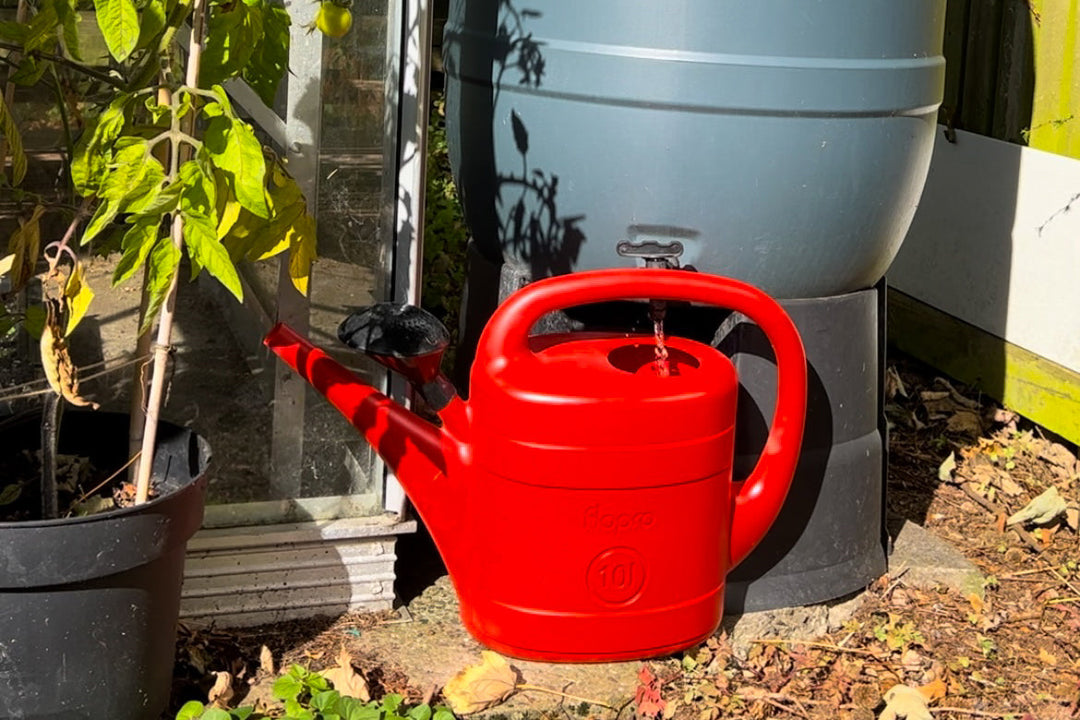 Greener gardening - install a water butt