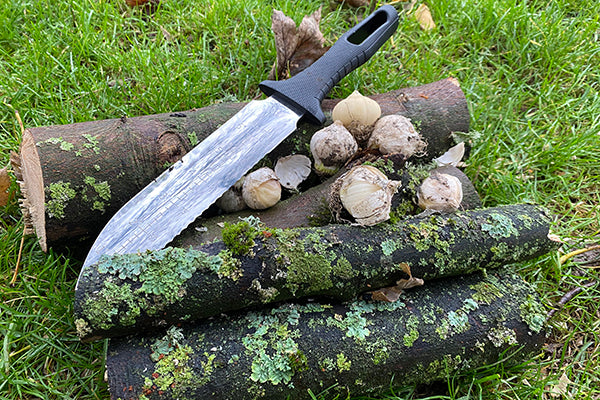 Genus Japanese silver gardening Knife in a garden