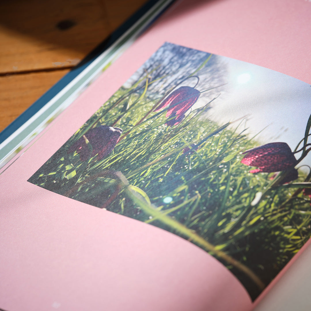 Genus A Year In A Cottage Garden Book showing flowers on a page