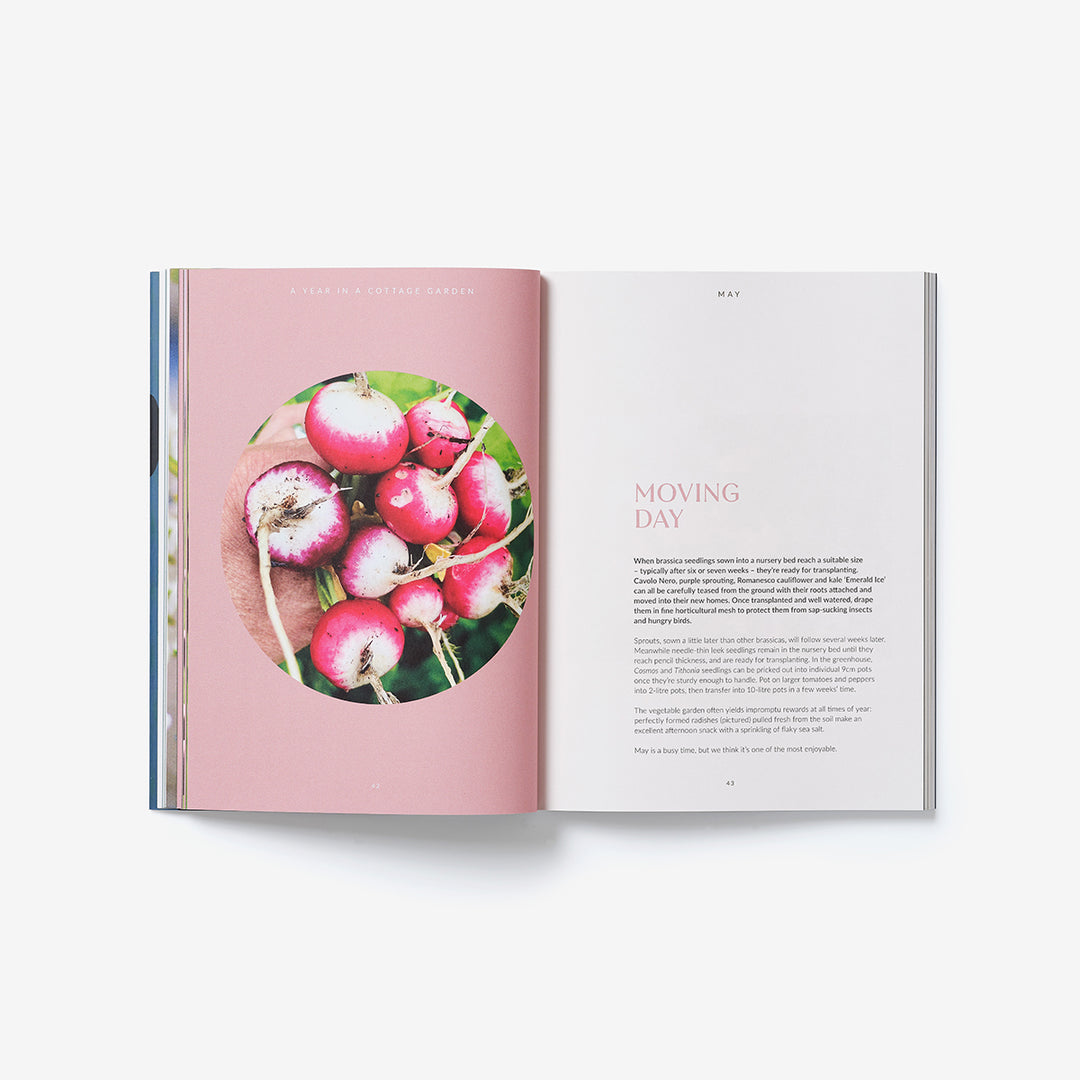 Genus A Year In A Cottage Garden Book showing radishes