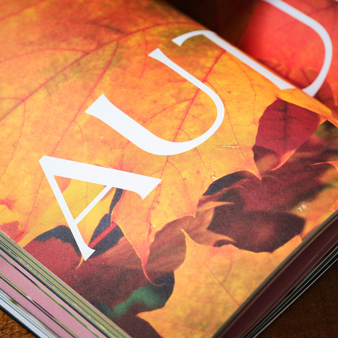 A Year in a Cottage Garden