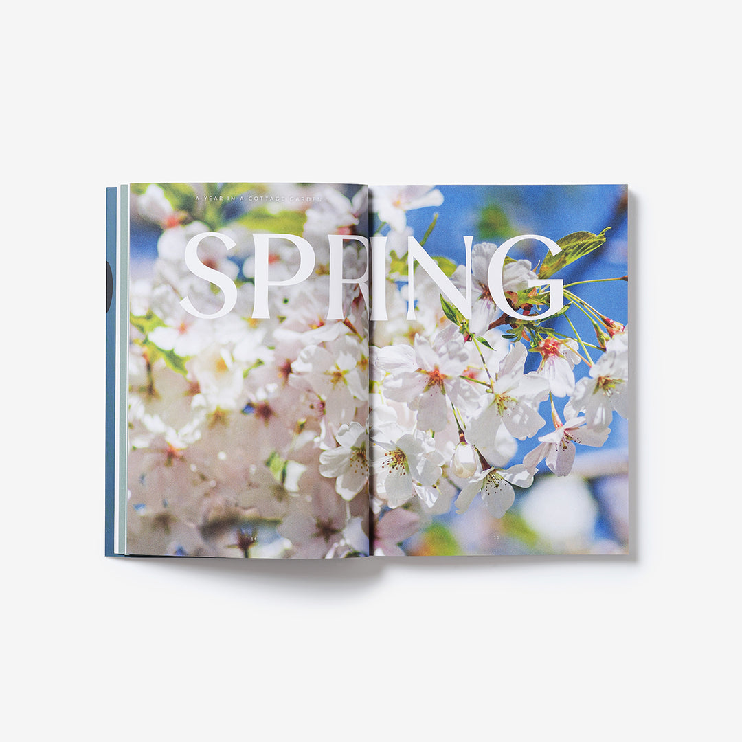 A Year in a Cottage Garden