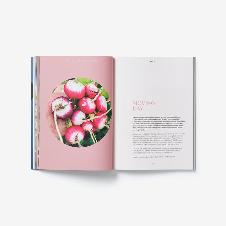 A Year in a Cottage Garden